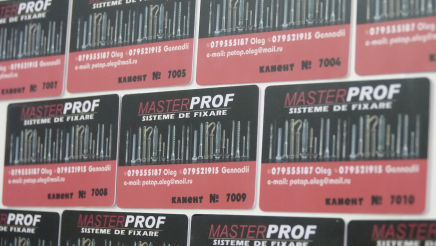 MasterPROF